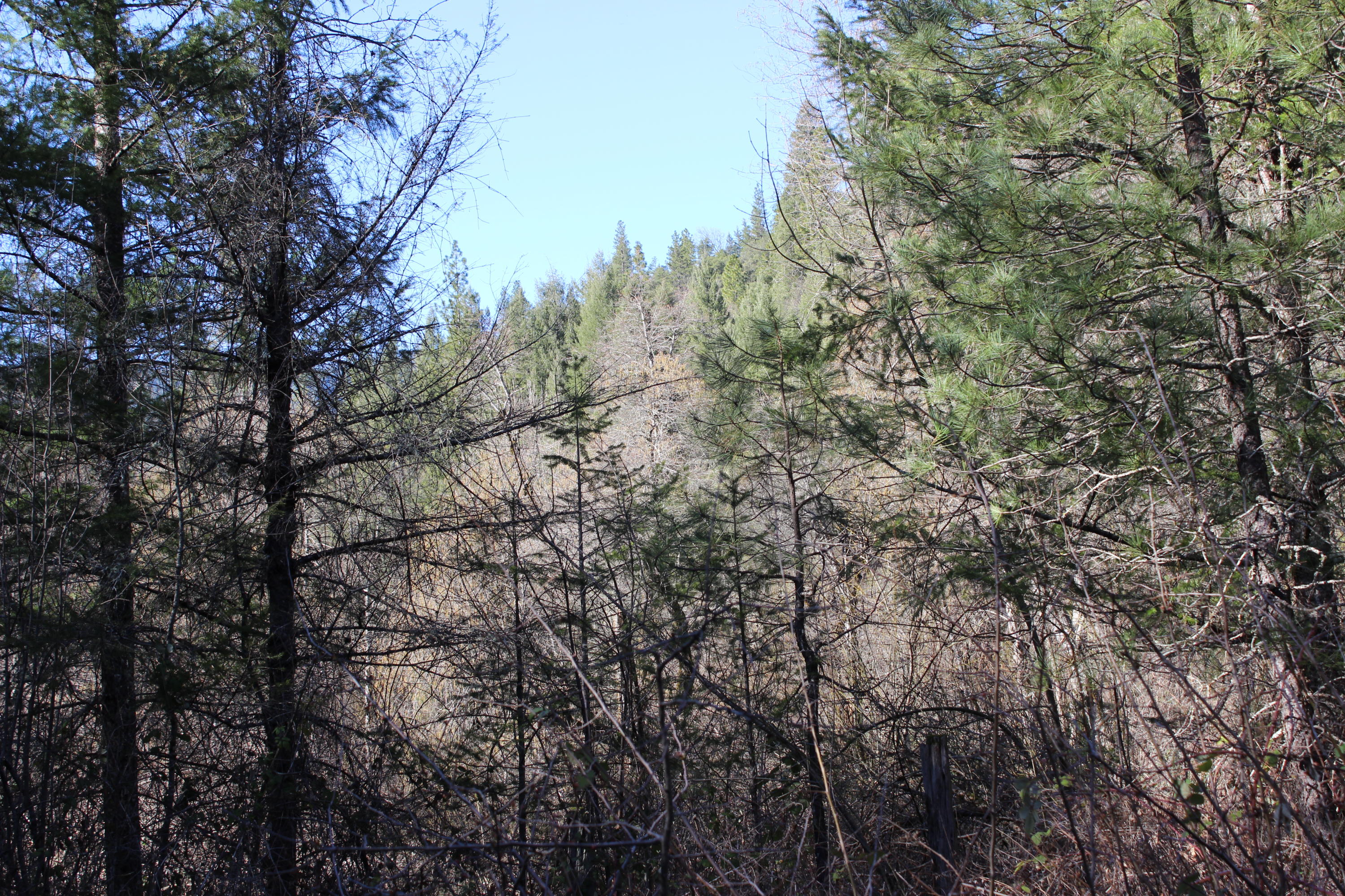 Fenders Ferry Road Lakehead, CA 96051 - Photo 25 of 29 IMG_4677