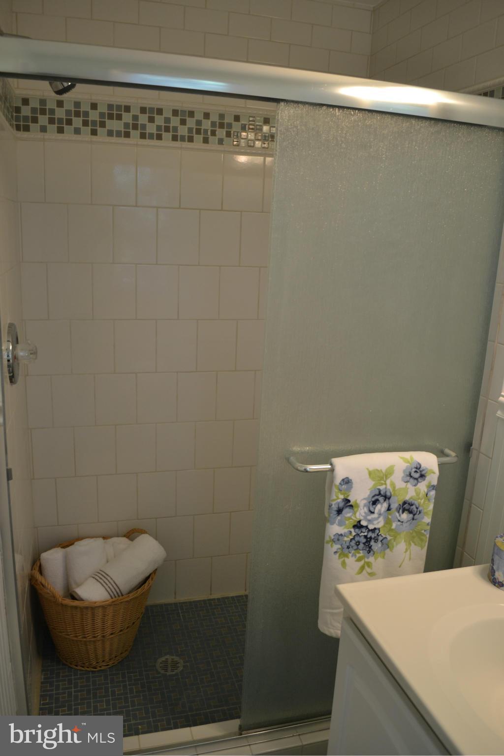 1120 Ryegate Road Baltimore, MD 21286 - Photo 23 of 29 Bath (Master)