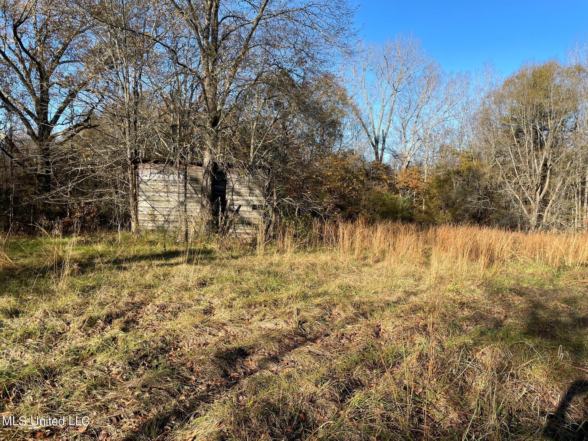 378 Cascilla-Grenada County Road Cascilla, MS 38920 - Photo 17 of 21 10