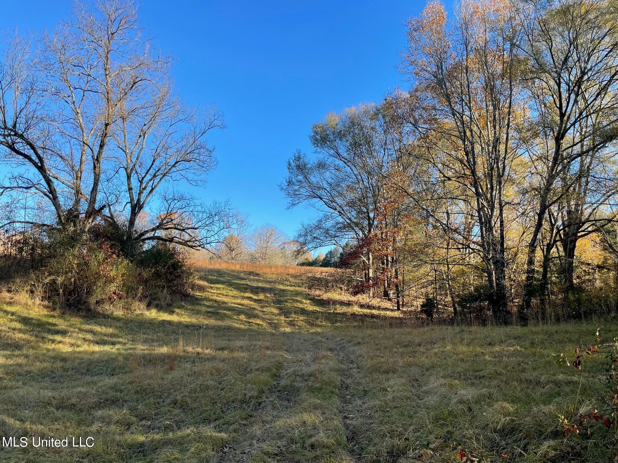 378 Cascilla-Grenada County Road Cascilla, MS 38920 - Photo 18 of 21 11