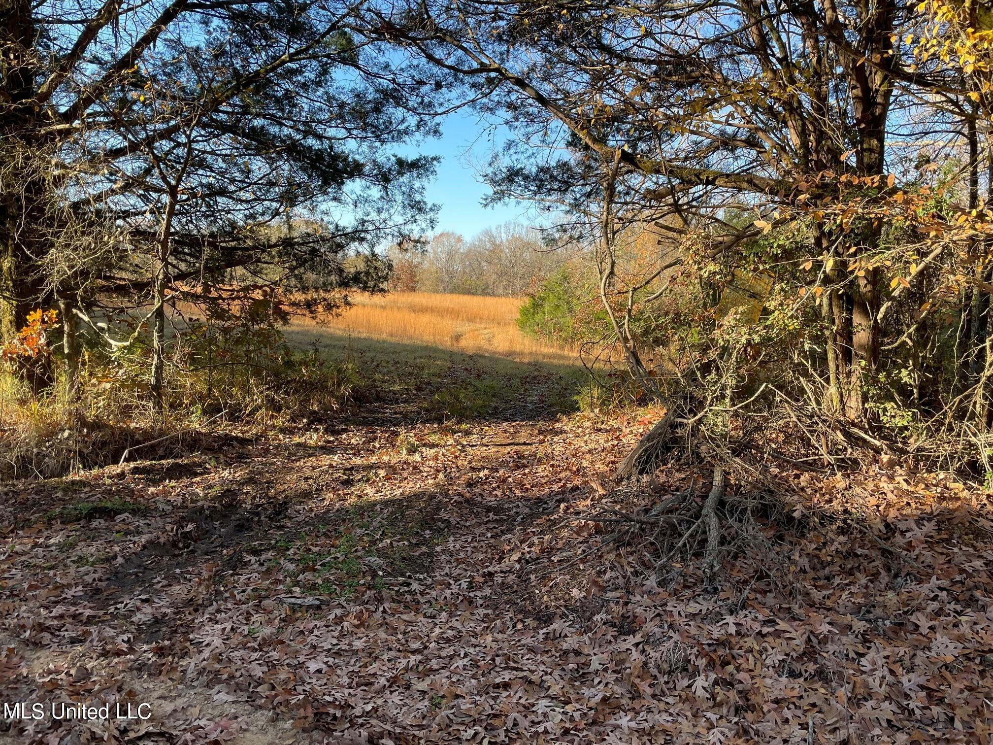 378 Cascilla-Grenada County Road Cascilla, MS 38920 - Photo 20 of 21 13