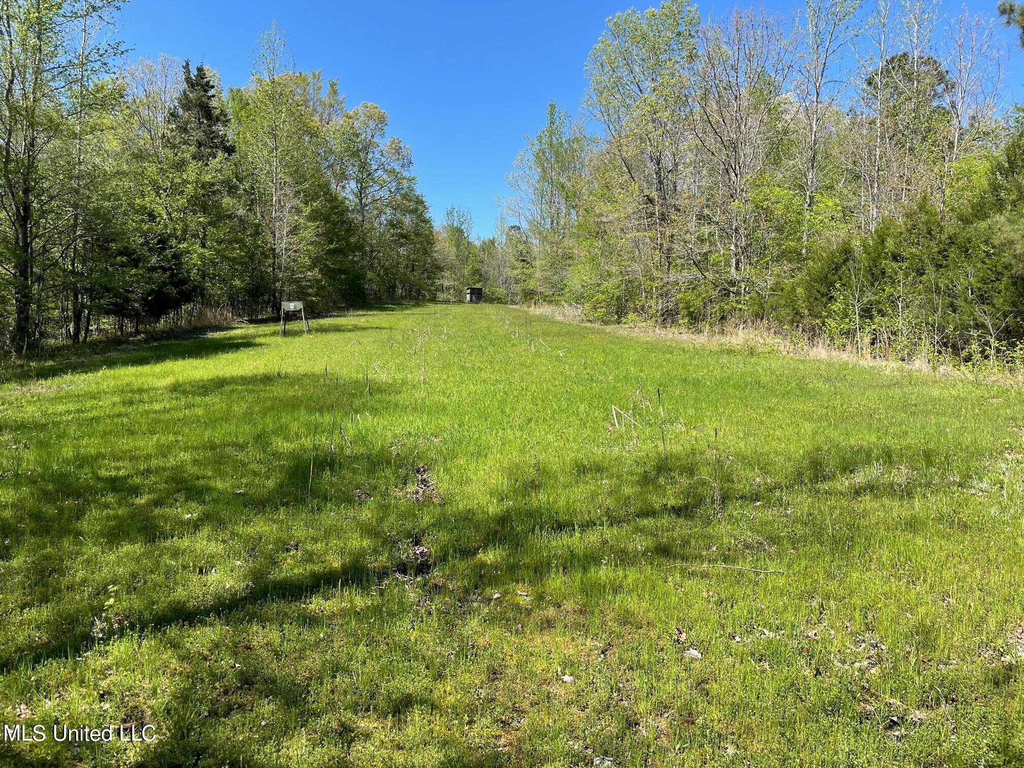 378 Cascilla-Grenada County Road Cascilla, MS 38920 - Photo 2 of 21 22