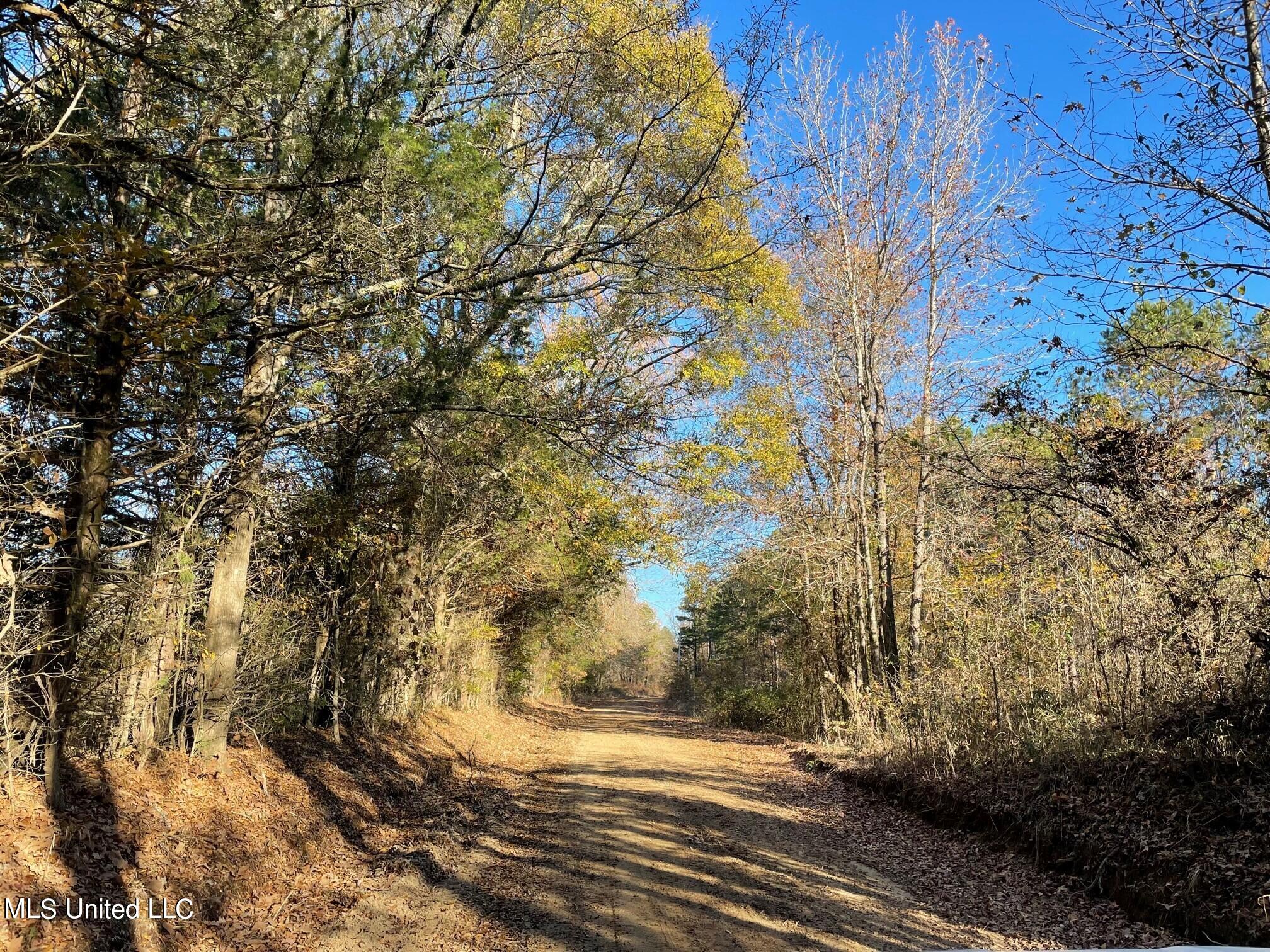 378 Cascilla-Grenada County Road Cascilla, MS 38920 - Photo 21 of 21 14
