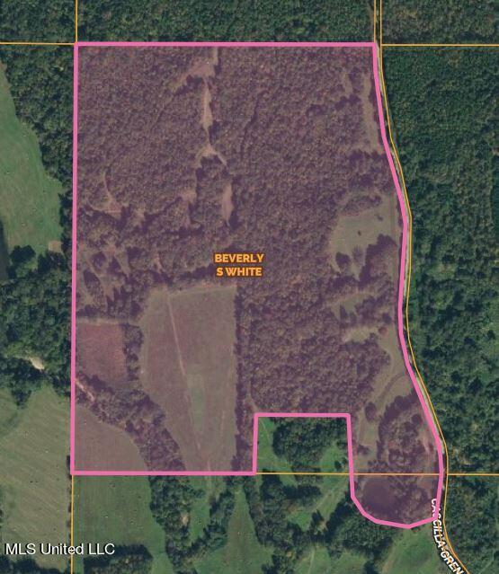 378 Cascilla-Grenada County Road Cascilla, MS 38920 - Photo 7 of 21 lines