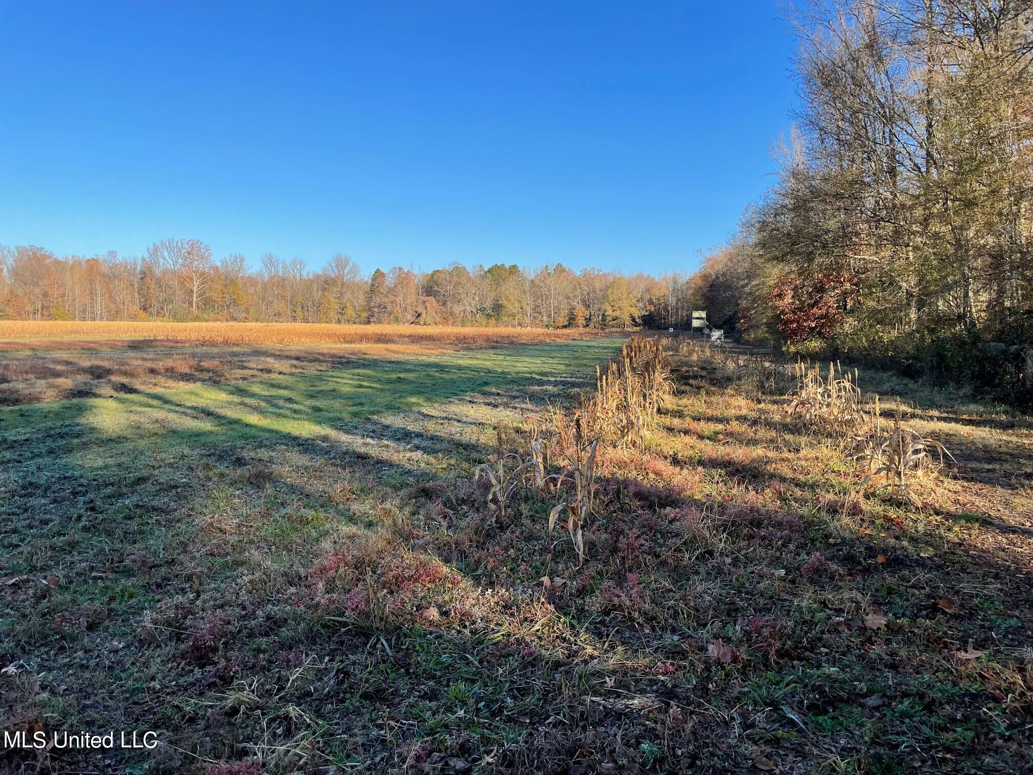 378 Cascilla-Grenada County Road Cascilla, MS 38920 - Photo 10 of 21 2