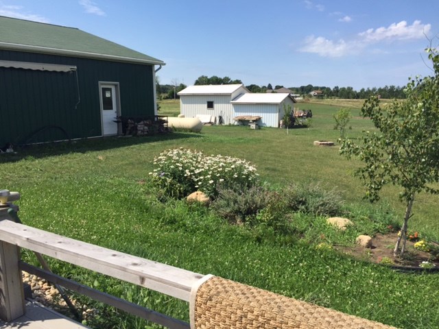 4091 North Winn Road Weidman, MI 48893 - Photo 17 of 26 1821001-16.JPG