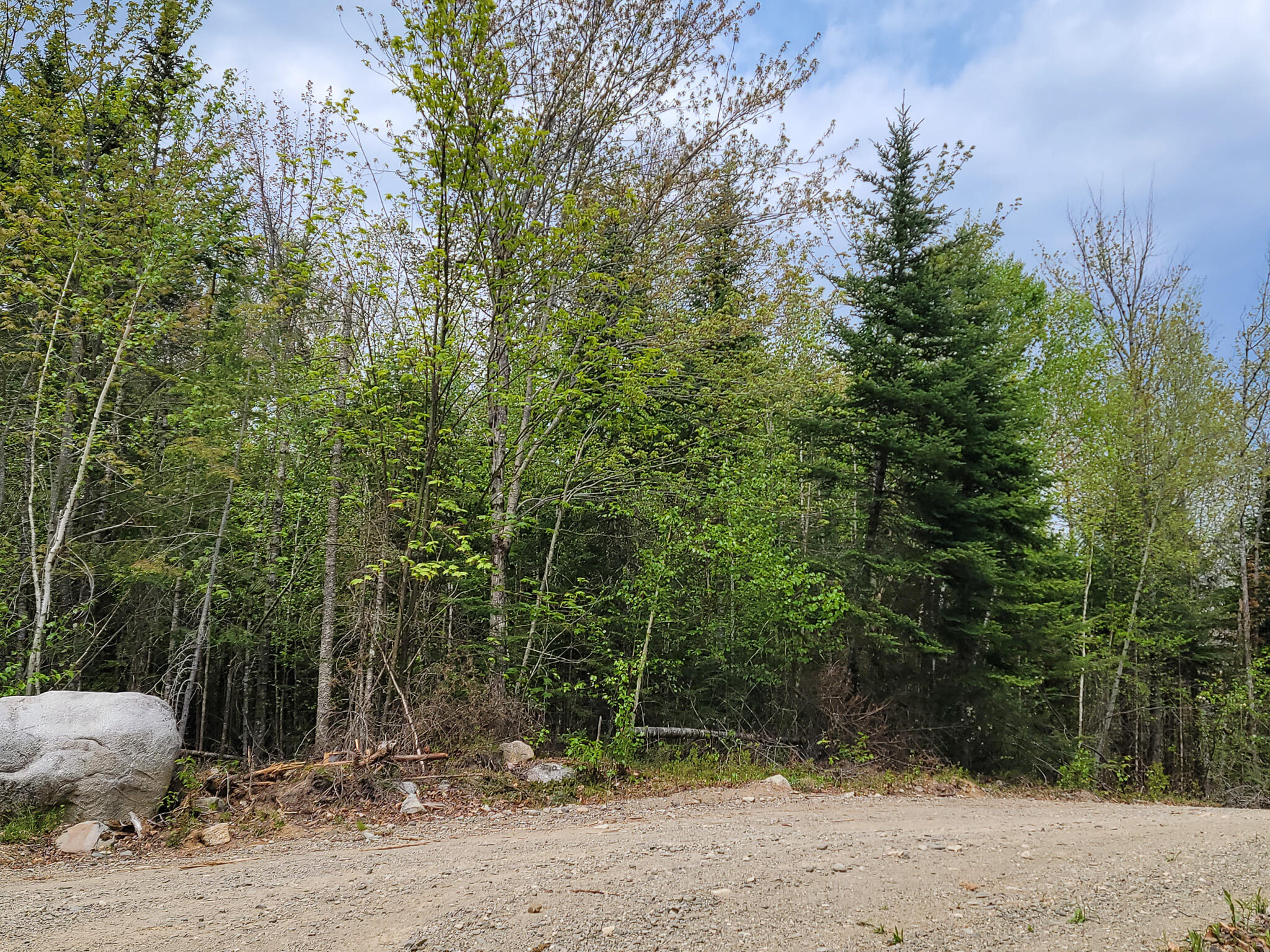 Tbd Tbd Cobb Cove Road Lincoln, ME 04457 - Photo 2 of 14 20230515_125615