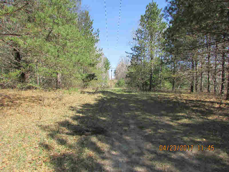 Nhn Gallagher Road West Branch, MI 48661 - Photo 7 of 8 Gallery Image 7