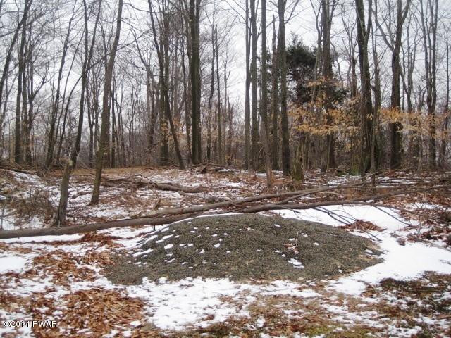 1009 Ridge Drive Gouldsboro, PA 18424 - Photo 31 of 37