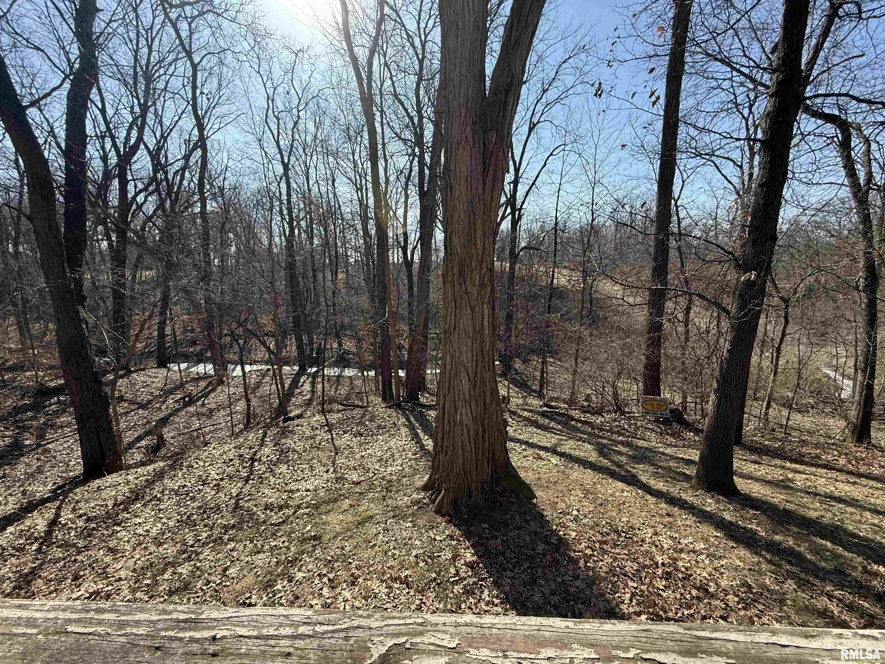 100 Thrush Avenue Pekin, IL 61554 - Photo 3 of 12