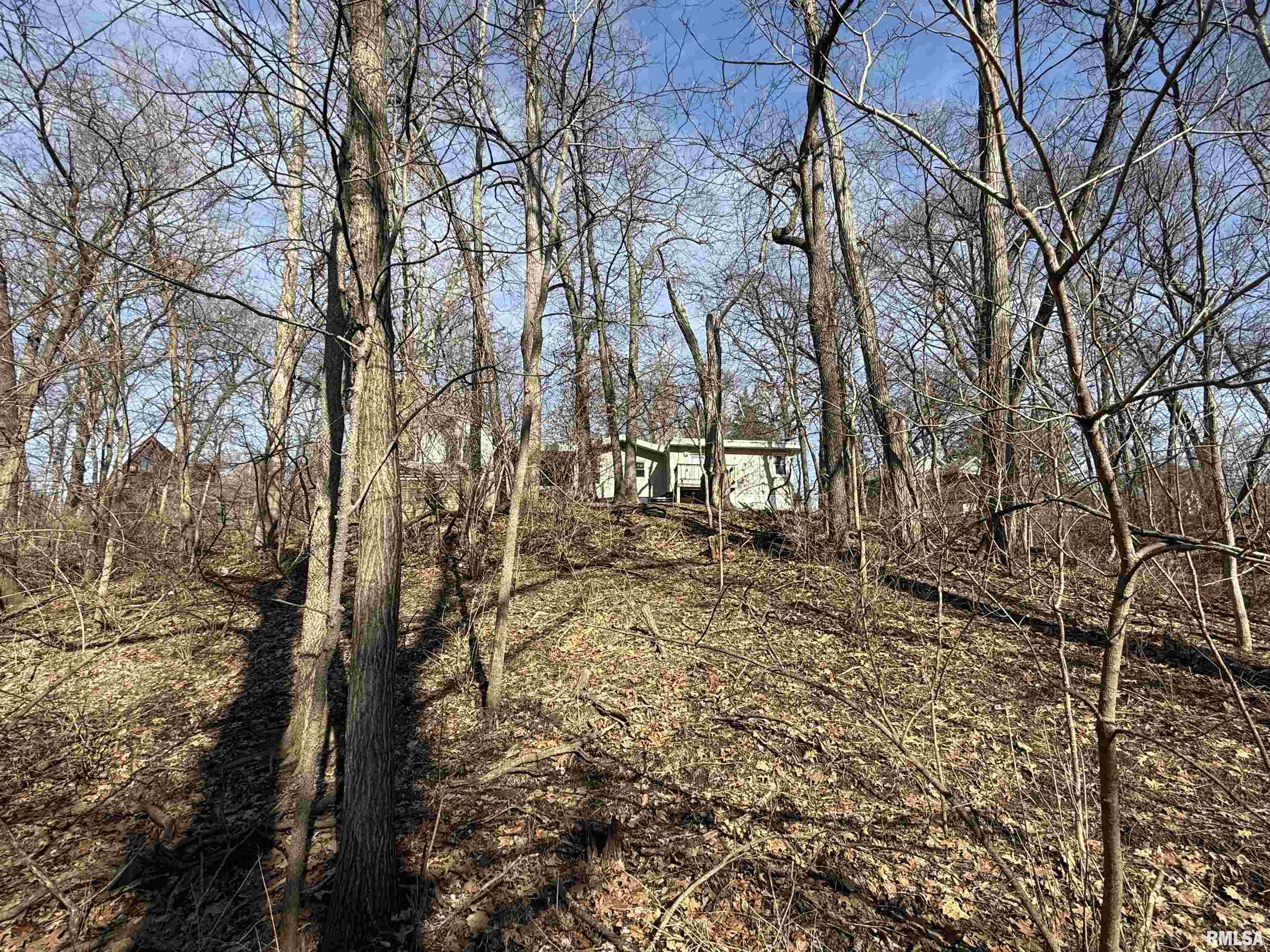 100 Thrush Avenue Pekin, IL 61554 - Photo 8 of 12