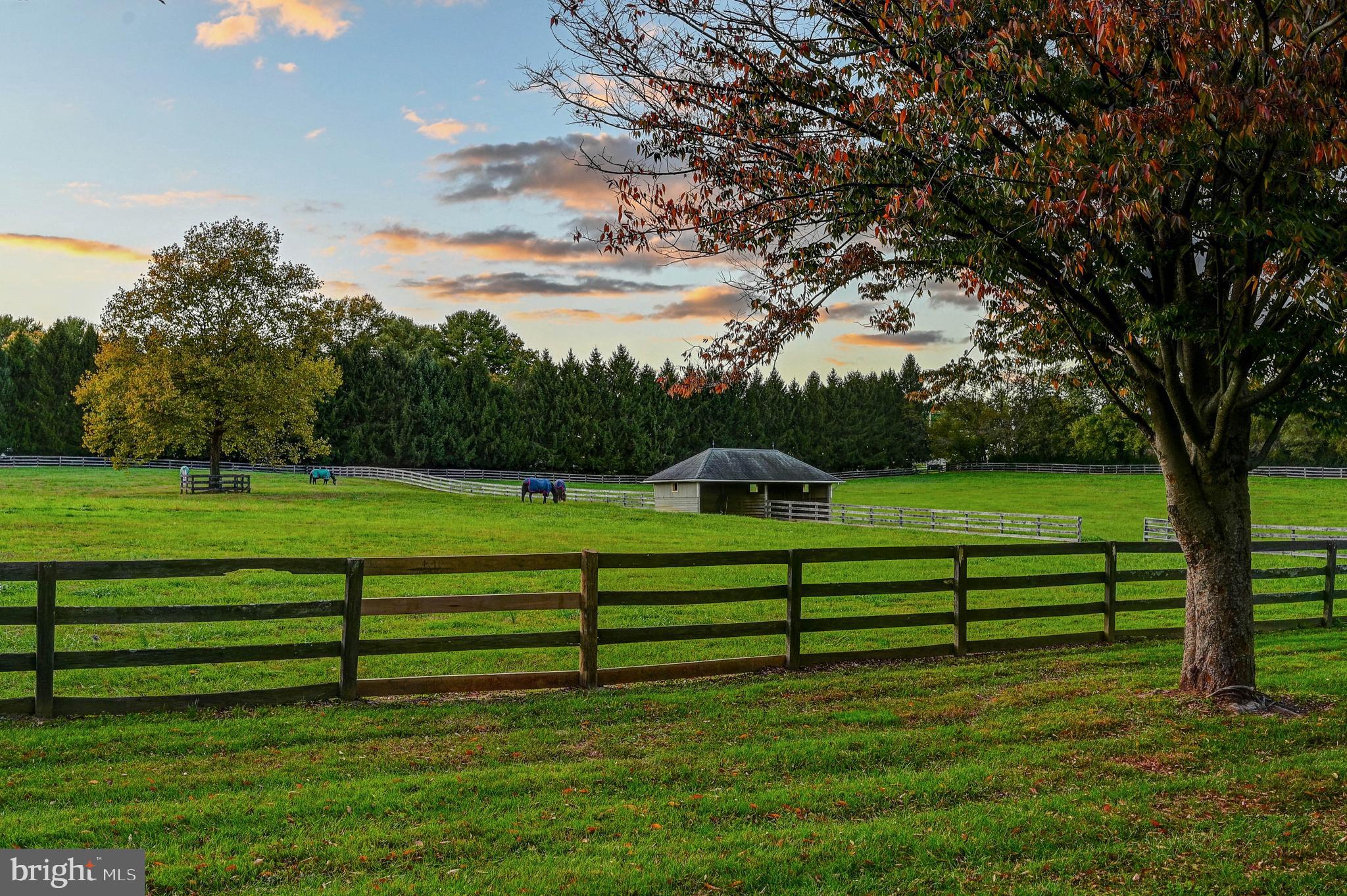 14921 Old York Road Phoenix, MD 21131 - Photo 52 of 97 a view of a park with large trees