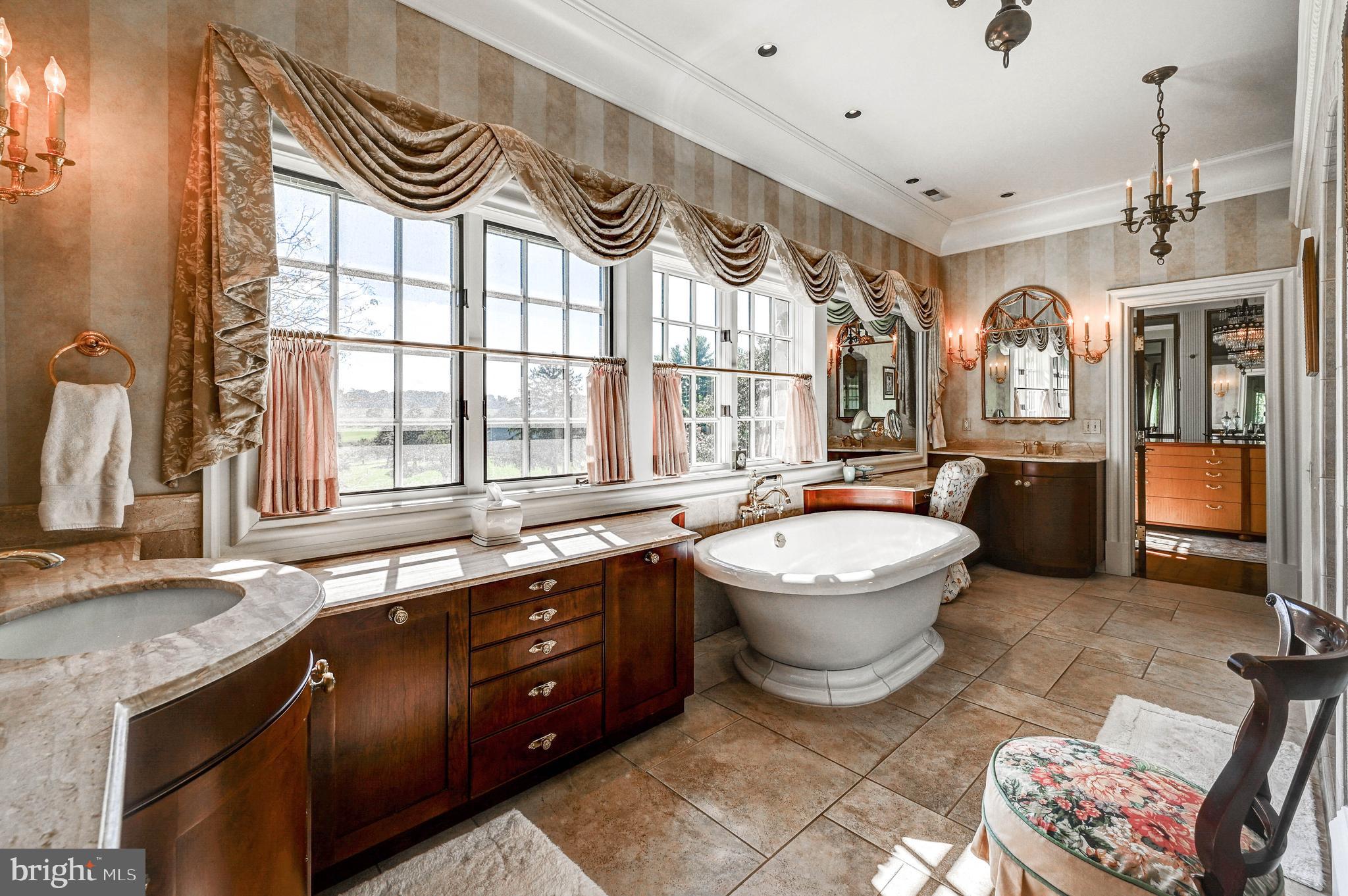14921 Old York Road Phoenix, MD 21131 - Photo 63 of 97 a spacious bathroom with a sink a bathtub and a window