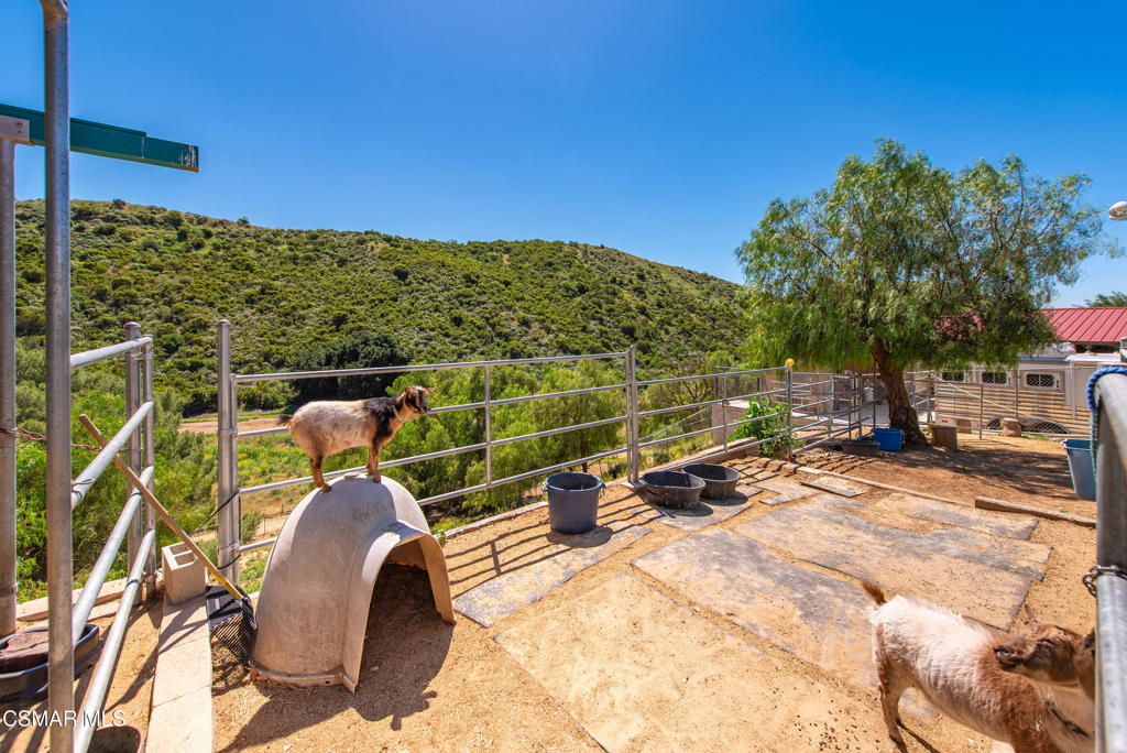 1208 Rambling Road Simi Valley, CA 93065 - Photo 58 of 77