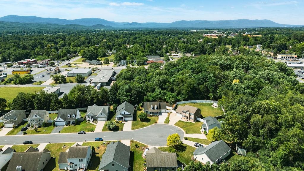 931 Battery Road Waynesboro, VA 22980 - Photo 54 of 62