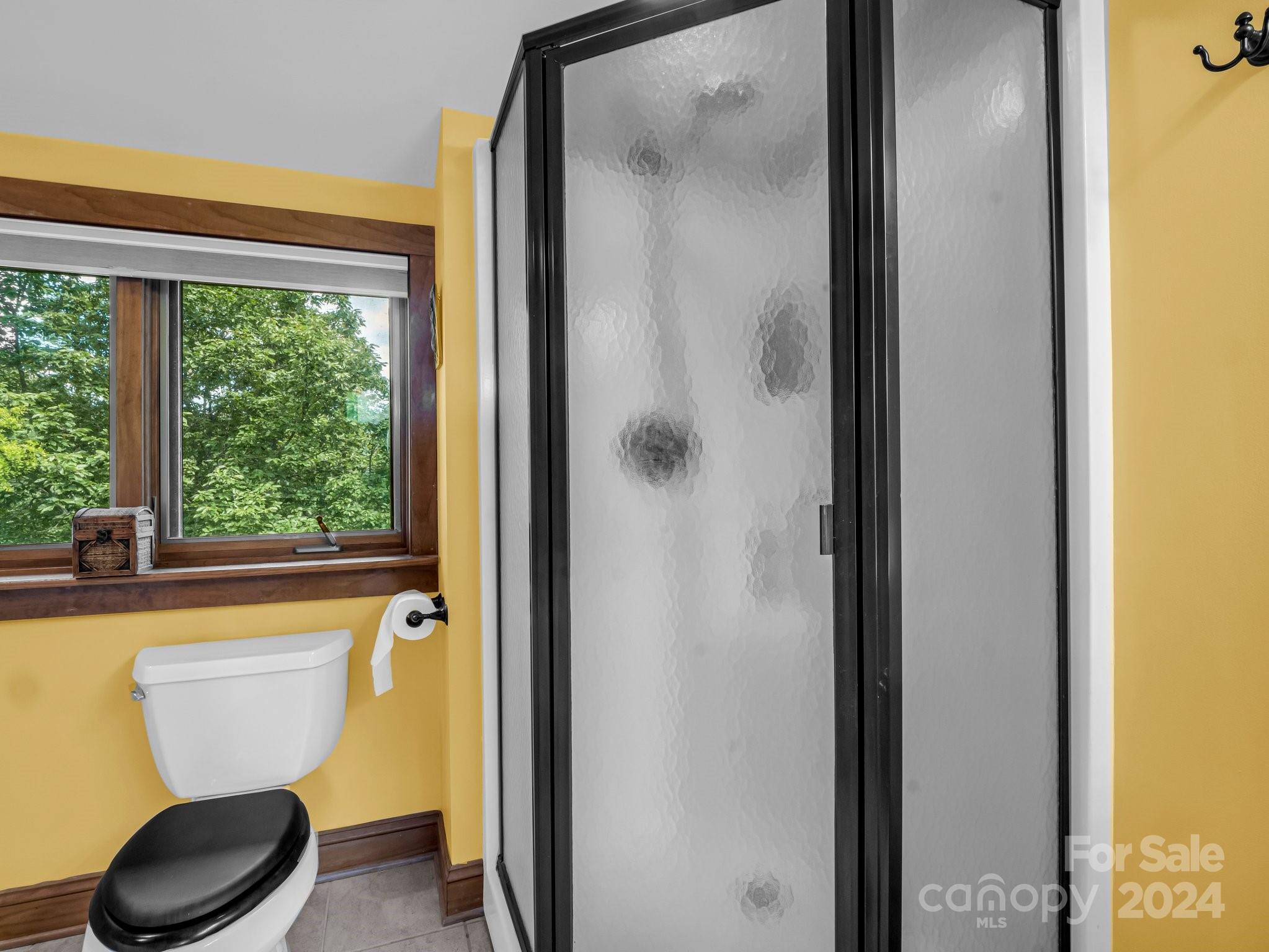 181 Highland Heights Lake Lure, NC 28746 - Photo 28 of 48