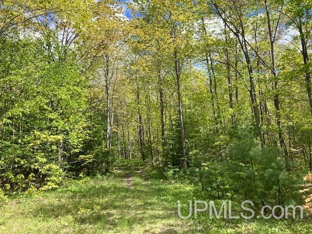 2 Boundary Road Chassell, MI 49916 - Photo 67 of 77