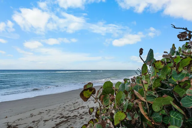 a view of a lake with a beach