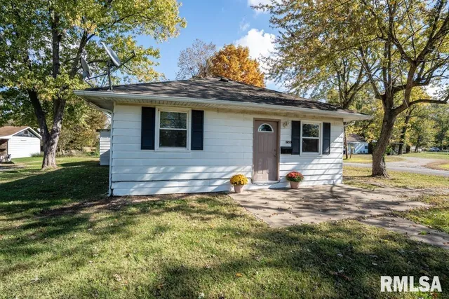 a view of a house with backyard and a tree