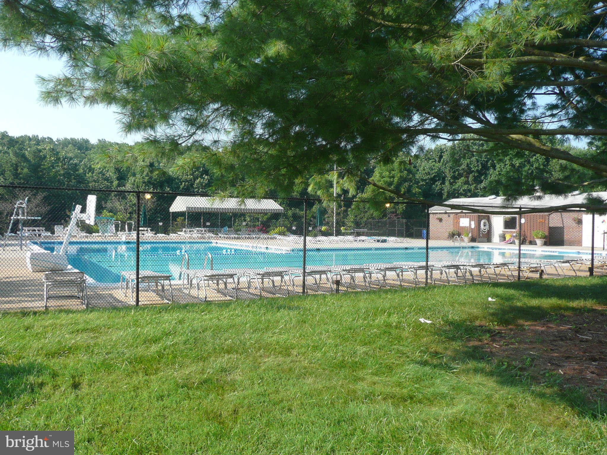 5505 Miles Court Springfield, VA 22151 - Photo 16 of 24 Refreshing Pool
