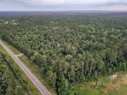 a view of a forest from a balcony