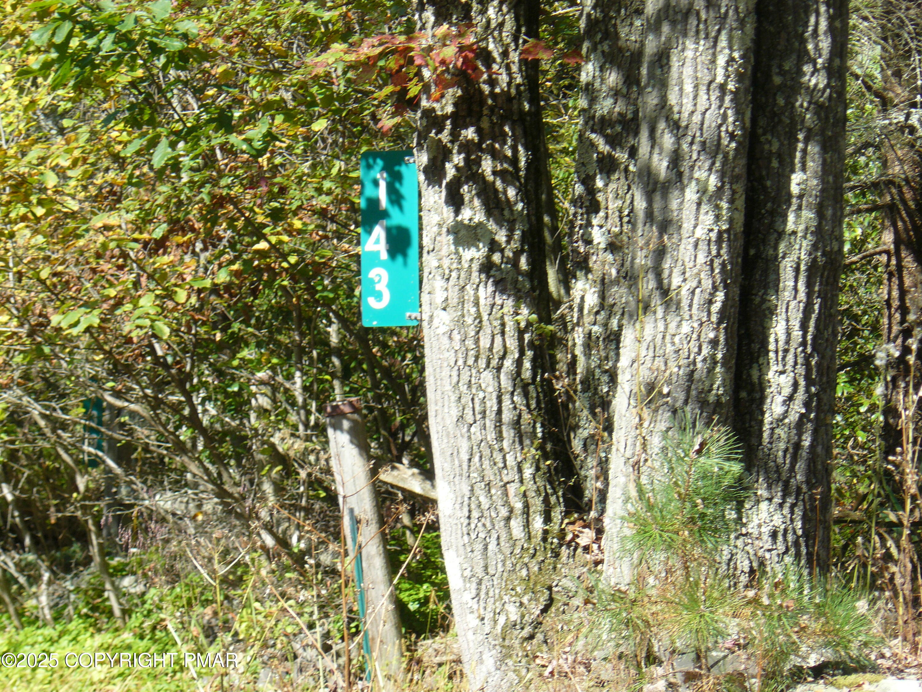 143 Buck Fever Trail Scotrun, PA 18355 - Photo 8 of 10 P1200252