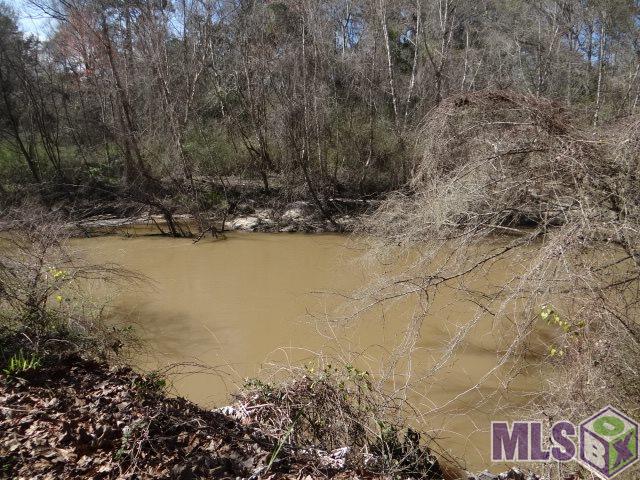 31665 Tickfaw Acres Road Holden, LA 70744 - Photo 34 of 43 Gallery Image 34