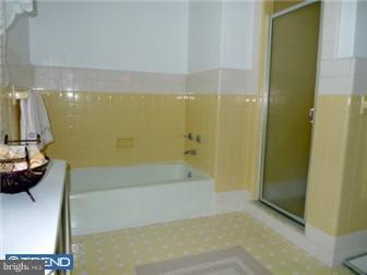2204 East County Line Road Ardmore, PA 19003 - Photo 8 of 10 Bathroom