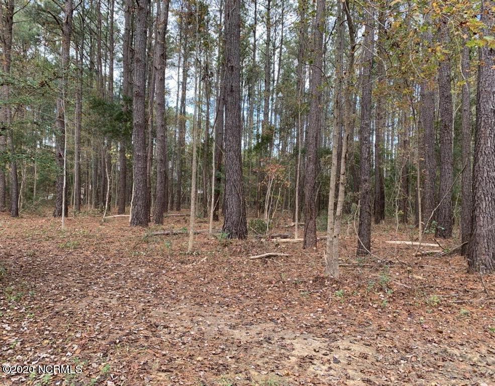 Lot 79 Pond Road Rocky Point, NC 28457 - Photo 4 of 5 Homesite