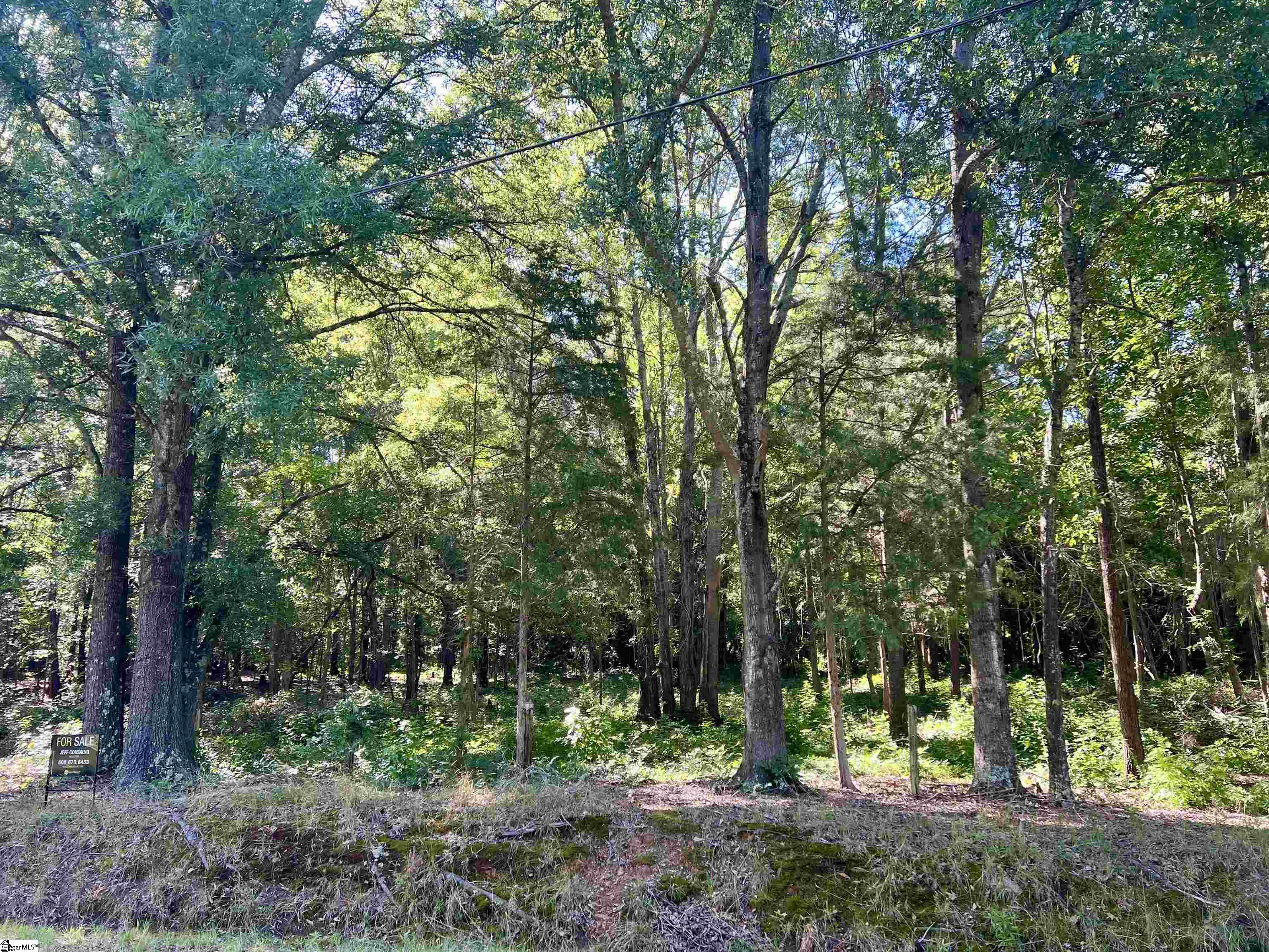 0 Powers Road, Unit B1 Laurens, SC 29360 - Photo 3 of 5 Gallery Image 3