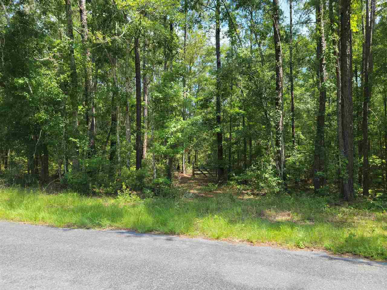 0 Casa Bianca Road Monticello, FL 32344 - Photo 2 of 8 Gallery Image 2