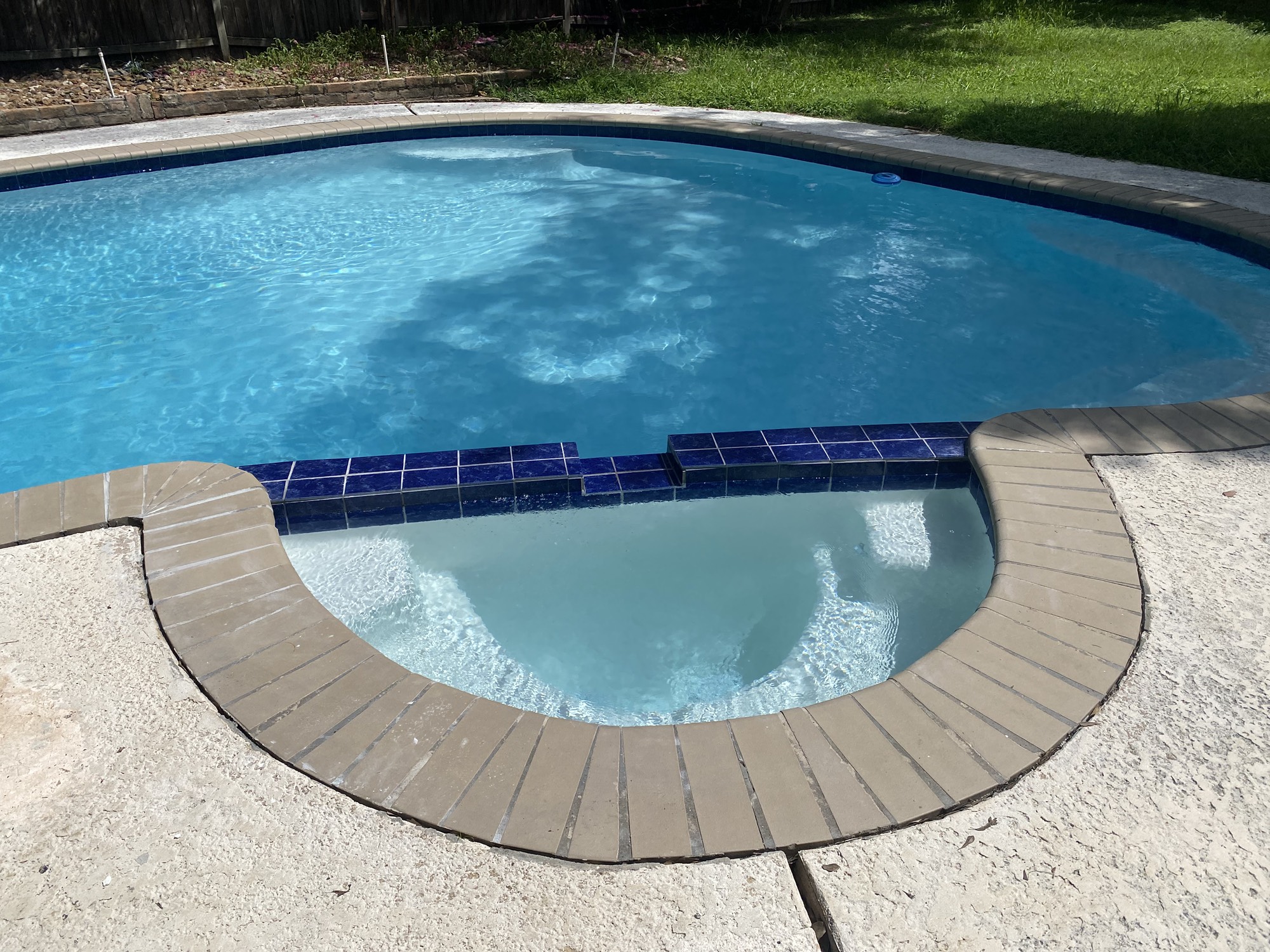 8206 Ash Valley Drive Spring, TX 77379 - Photo 12 of 14 Replastered and new coping.