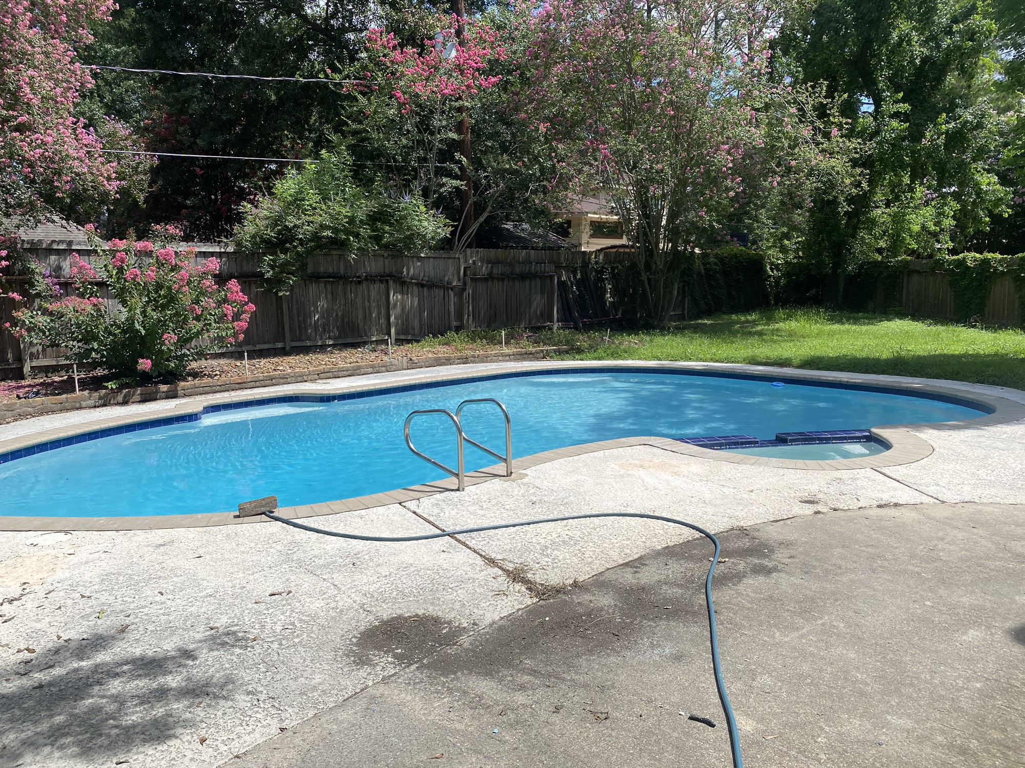 8206 Ash Valley Drive Spring, TX 77379 - Photo 13 of 14 Big Beautiful Pool and large back yard