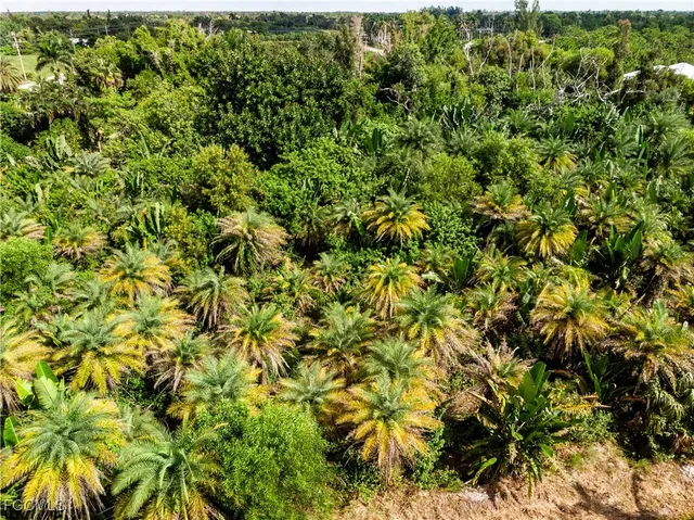 a view of a lush green field