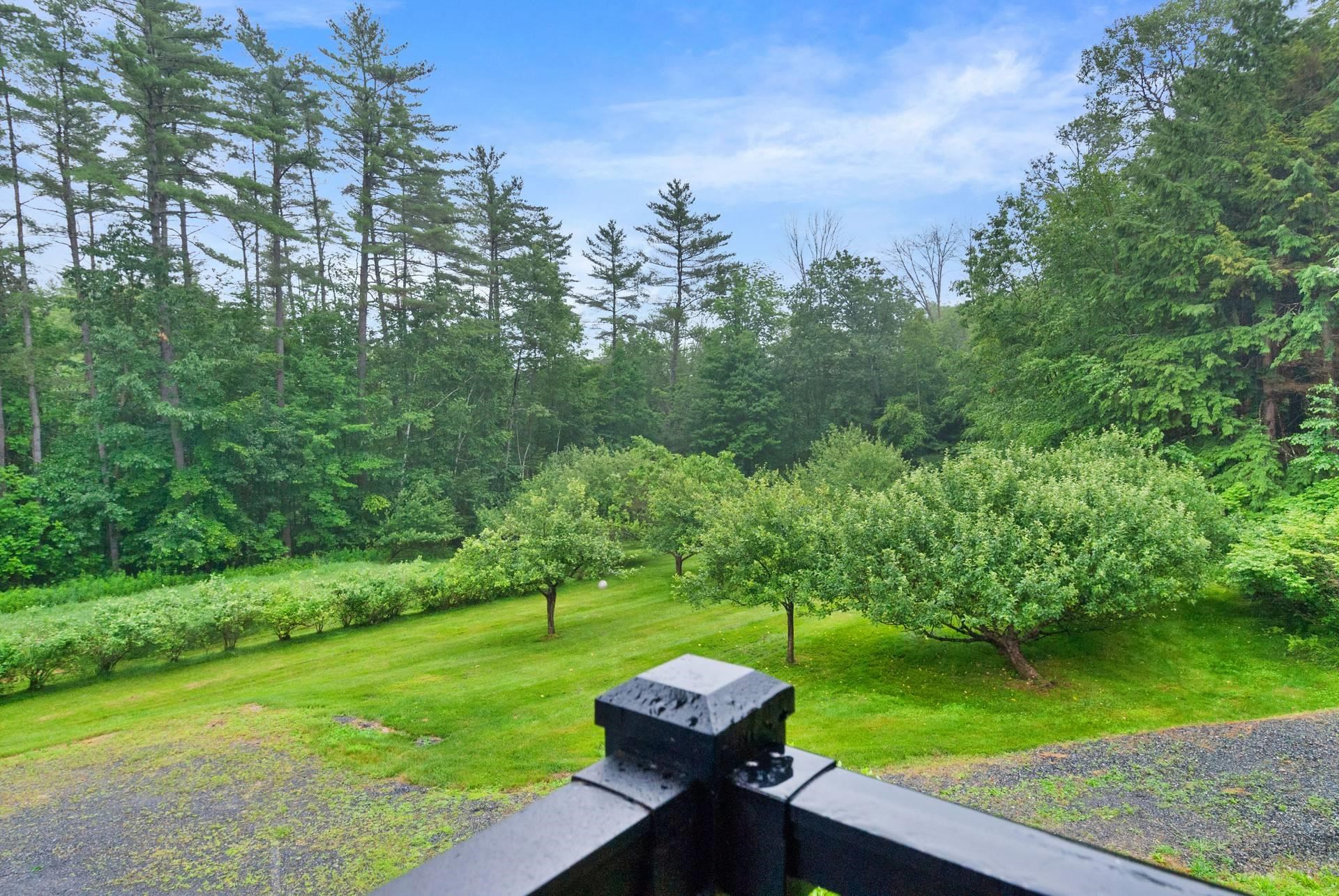 37 Kenyon Road Plainfield, NH 03781 - Photo 24 of 26