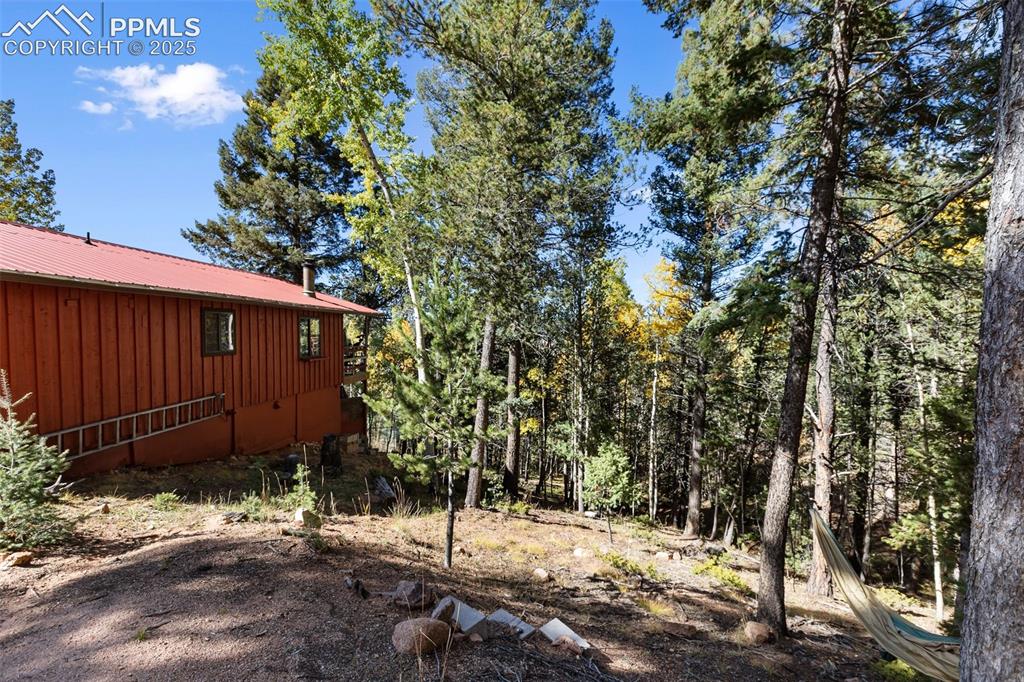 679 Calcite Drive Divide, CO 80814 - Photo 32 of 35