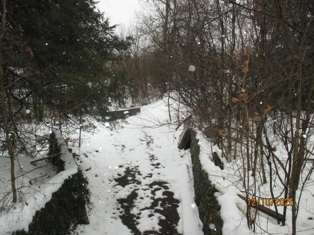 $289,900 | 9500 Gilbert Road, Pittsford, MI 49271