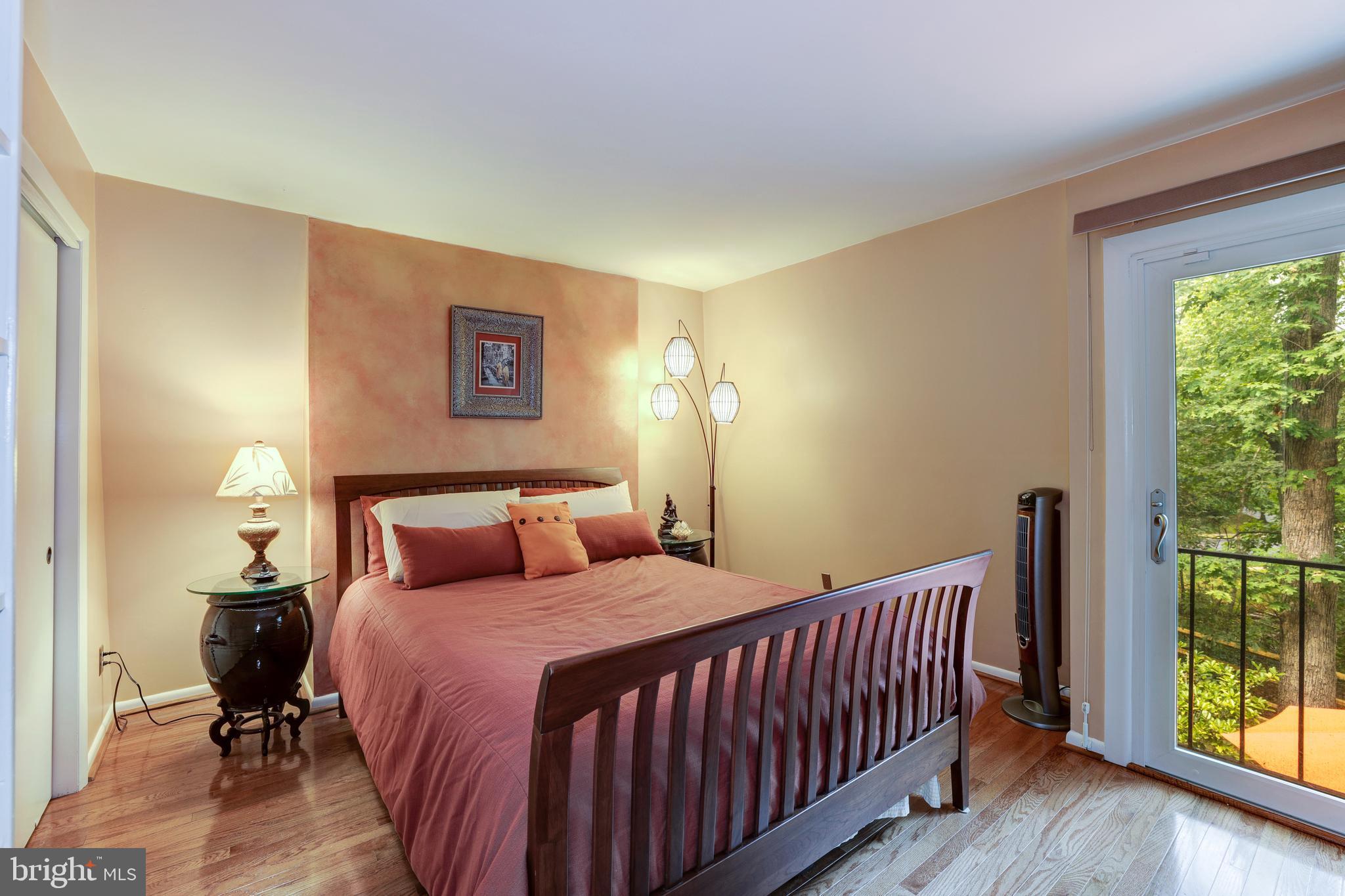 1407 Aldenham Lane Reston, VA 20190 - Photo 36 of 56 Second bedroom custom wall paint and large glass