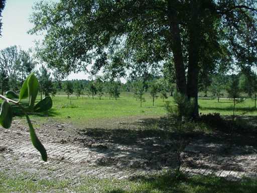 31236 North Cafe Line Road Hammond, LA 70401 - Photo 5 of 8