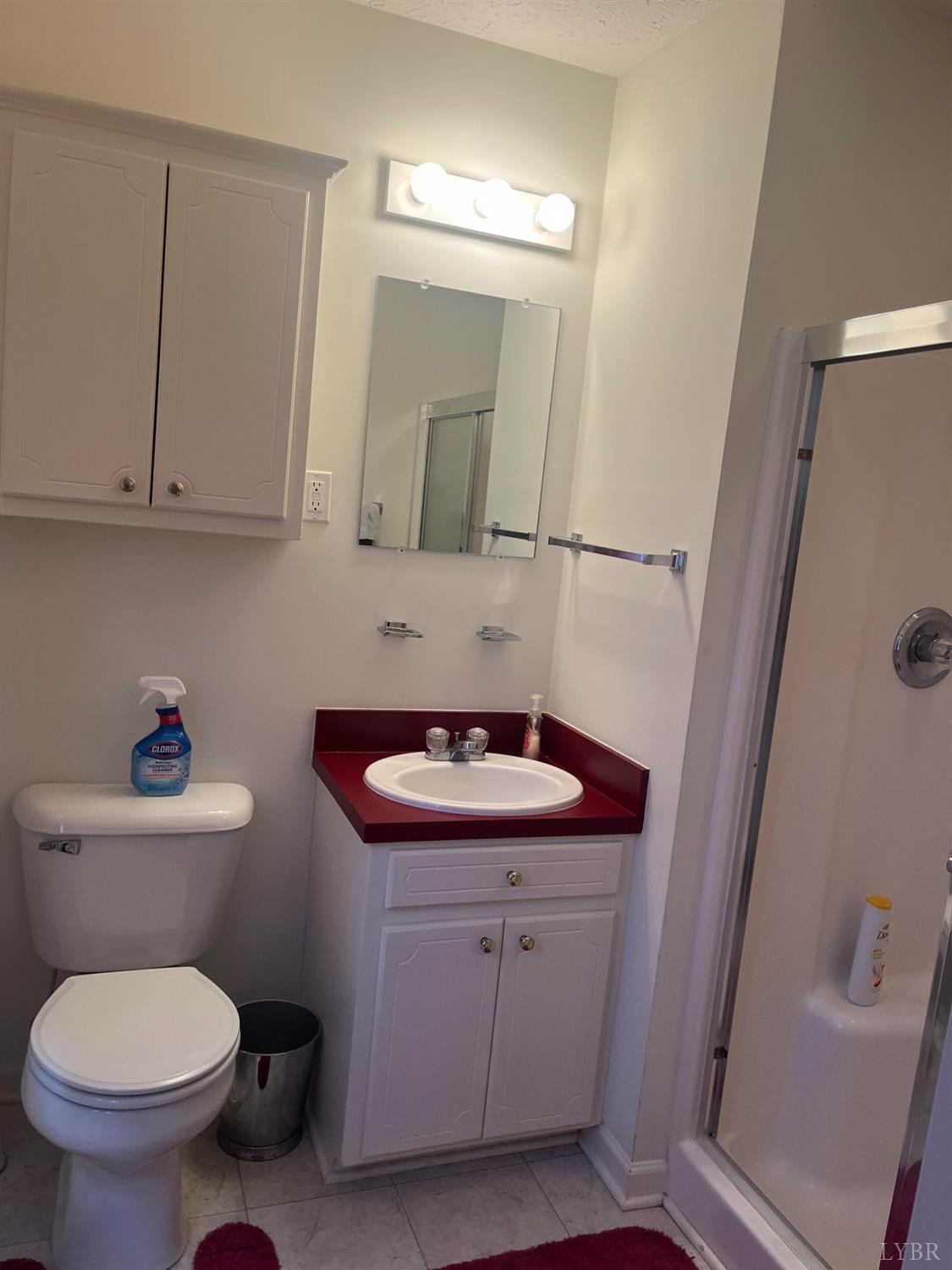 2135 Spring Garden Road Chatham, VA 24531 - Photo 11 of 18 a bathroom with a toilet sink and mirror