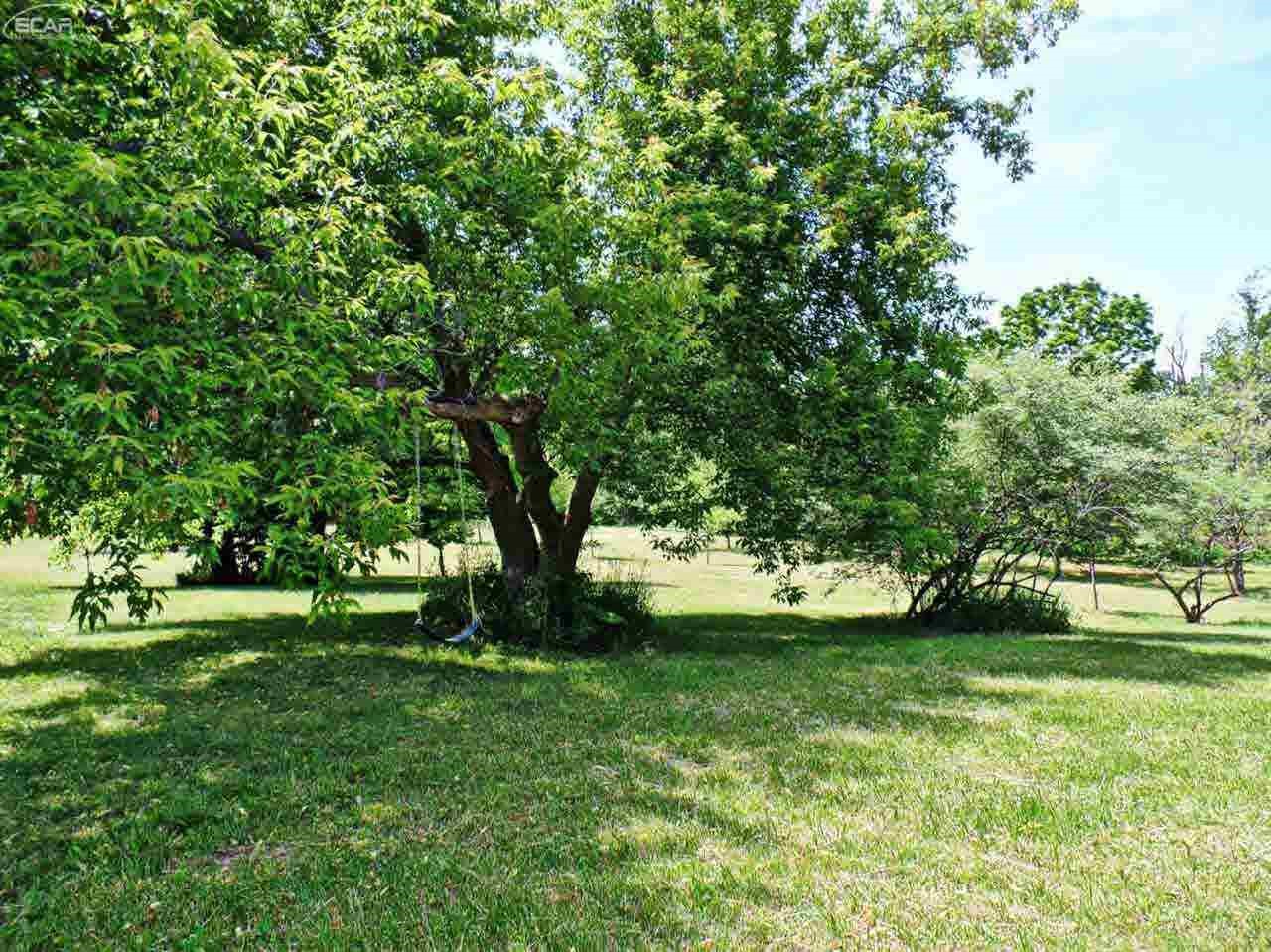 2340 Miller Road Metamora, MI 48455 - Photo 10 of 15