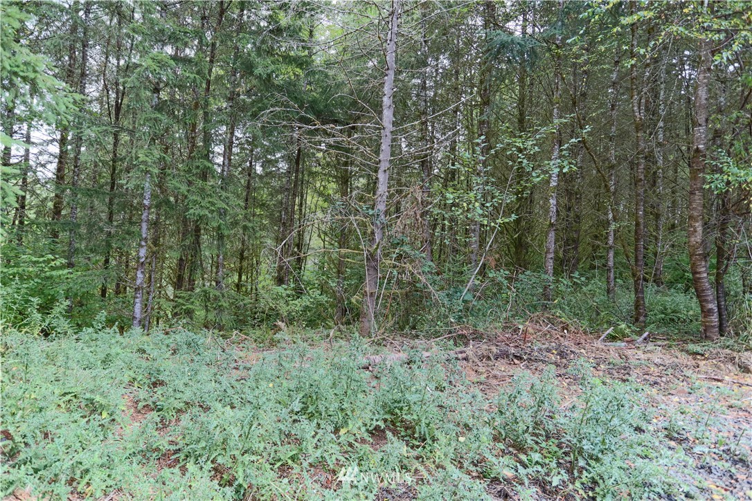 1771 Bunker Creek Road Chehalis, WA 98532 - Photo 26 of 29 Gallery Image 26