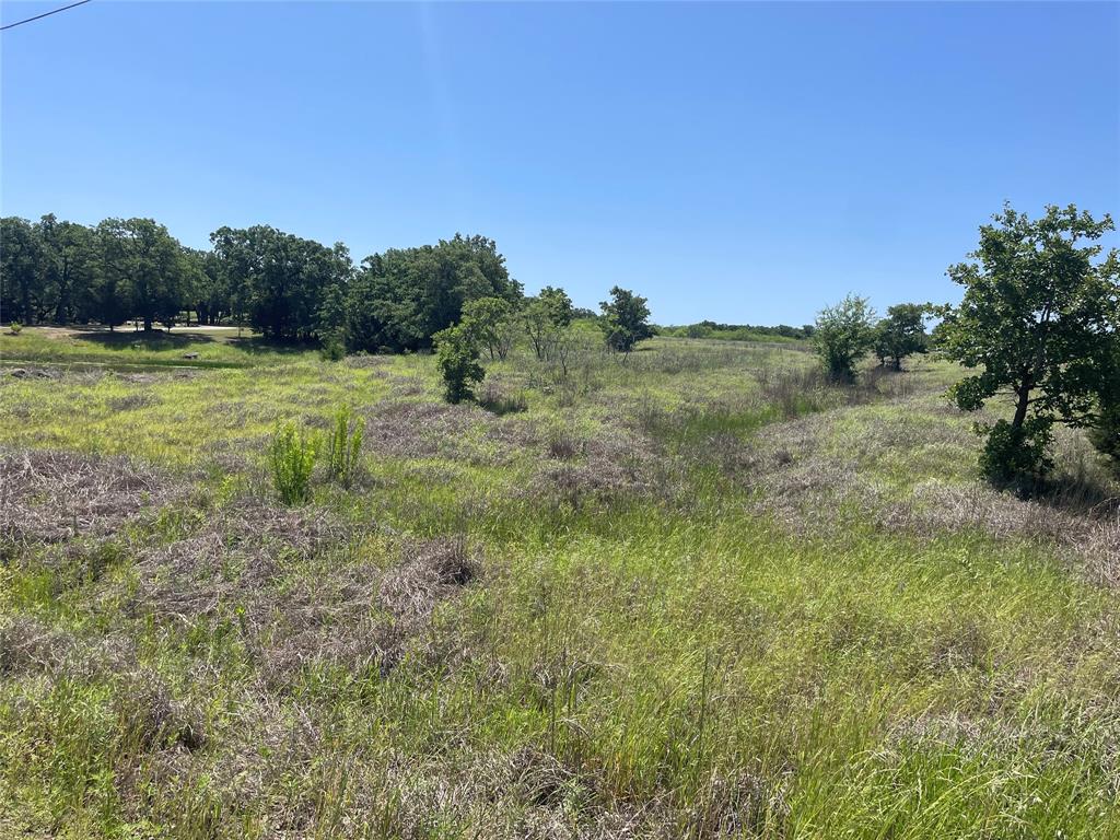 Tbd Lot 107 Tbd Cove Sunset, TX 76270 - Photo 3 of 9