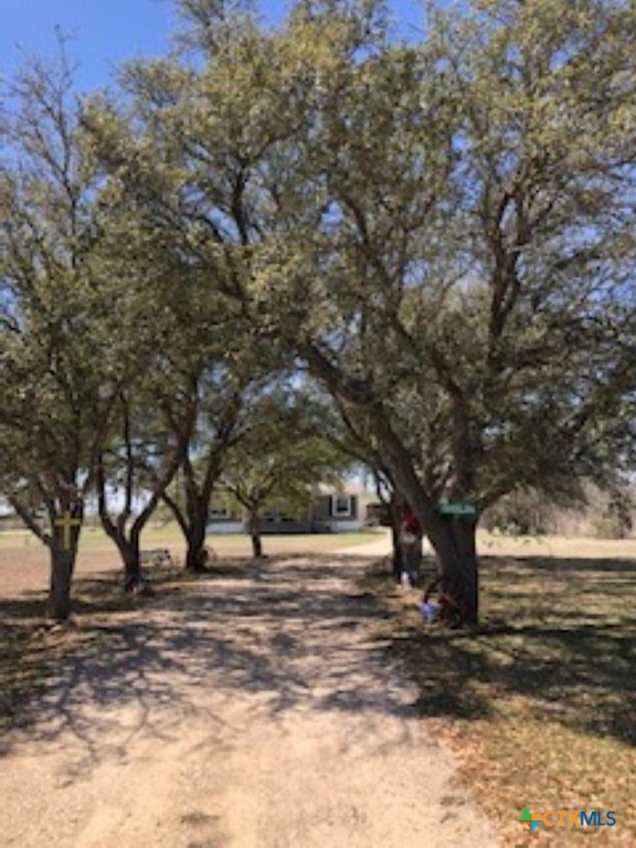 1188 Haeckerville Road Cibolo, TX 78108 - Photo 2 of 15 a view of yard with trees