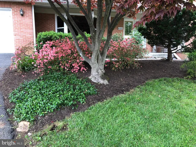 a view of a garden with flowers and trees