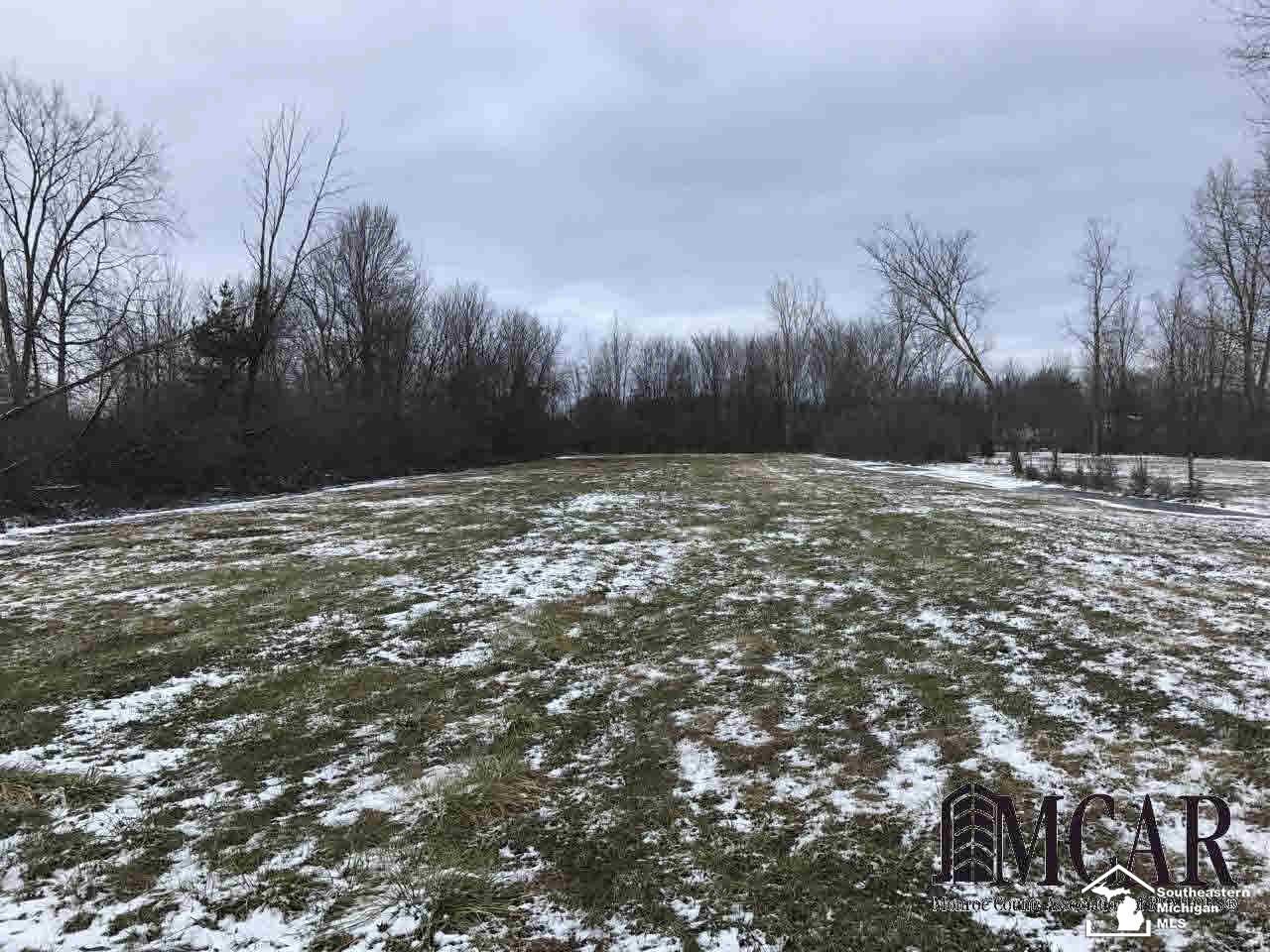 2587 Carleton Rockwood Road Carleton, MI 48117 - Photo 26 of 28 21256992-25.JPG