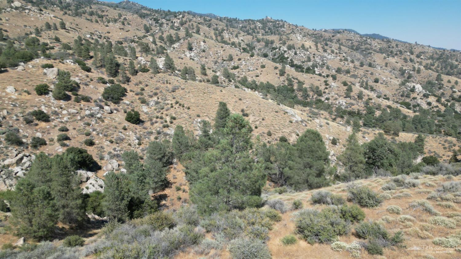 0 Piute Mountain Road Caliente, CA 93518 - Photo 9 of 35 Gallery Image 9