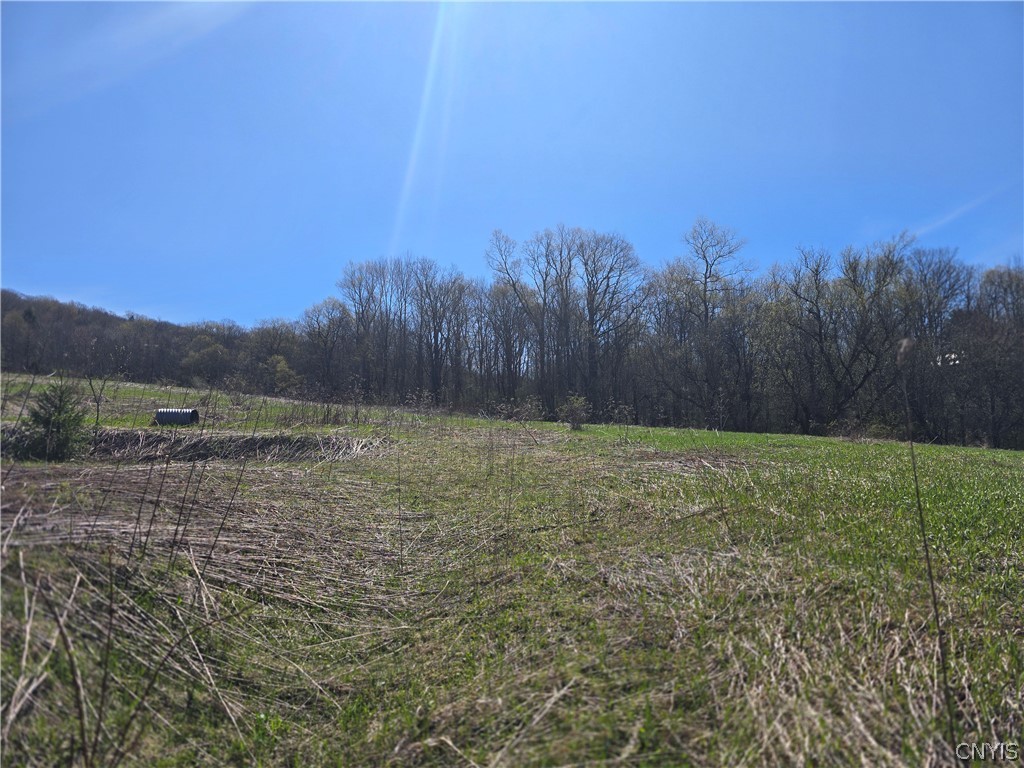 154 Bliven Road Bridgewater, NY 13480 - Photo 2 of 10