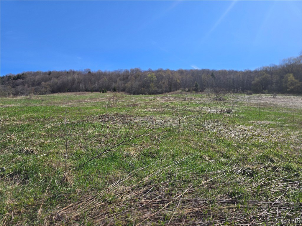 154 Bliven Road Bridgewater, NY 13480 - Photo 7 of 10