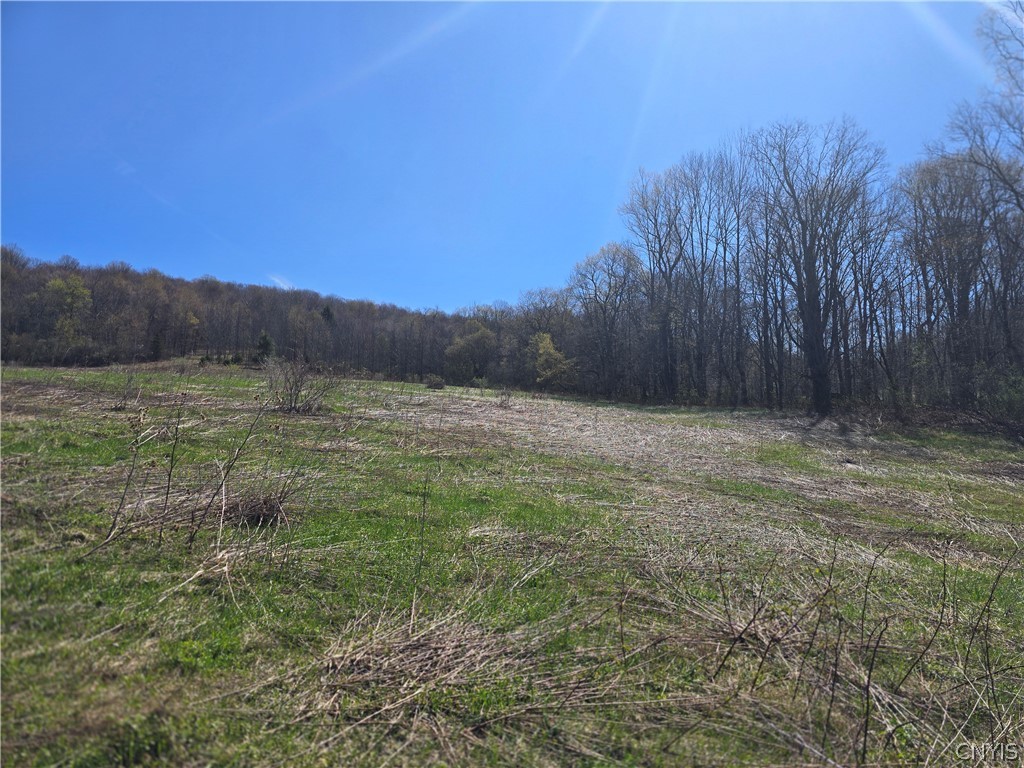 154 Bliven Road Bridgewater, NY 13480 - Photo 9 of 10
